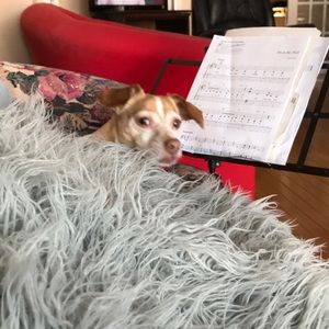 Meet your Posher, Solveig